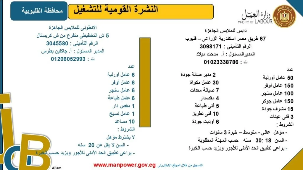وزارة العمل تكشف عن فرص عمل جديدة في محافظة القليوبية.. اكتشف التفاصيل وزارة العمل تكشف عن فرص عمل جديدة في محافظة القليوبية.. اكتشف التفاصيل