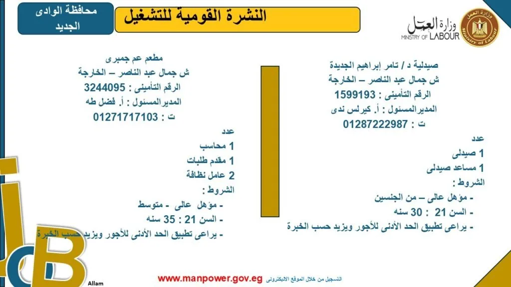 وزارة العمل تكشف عن فرص عمل جديدة في محافظة الوادي الجديد.. اكتشف التفاصيل. وزارة العمل تكشف عن فرص عمل جديدة في محافظة الوادي الجديد.. اكتشف التفاصيل.