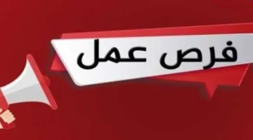 5242 فرصة توظيف في 50 شركة خاصة عبر 8 محافظات.. اكتشف التفاصيل