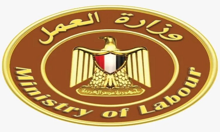 وزارة العمل: توفير 4000 فرصة عمل جديدة في 12 محافظة وزارة العمل: توفير 4000 فرصة عمل جديدة في 12 محافظة