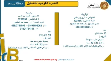 وزارة العمل تُعلن عن فرص عمل جديدة في محافظة بورسعيد.. اكتشف التفاصيل