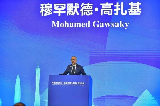وزير الاستثمار: حجم التجارة بين مصر والصين يبلغ 17 مليار دولار وزير الاستثمار: حجم التجارة بين مصر والصين يبلغ 17 مليار دولار