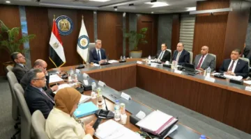 وزير البترول يبرز ضرورة إنشاء فريق فني لشركة ثروة لاستكشاف فرص استثمارية جديدة