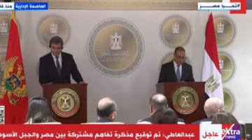 وزير الخارجية: إسرائيل تمنع دخول المساعدات لغزة لأكثر من 60 يومًا