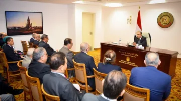 وزير الخارجية: تعزيز جهود البعثات المصرية لدعم الاستثمار والسياحة