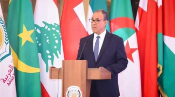 وزير الخارجية: توافق عربي في القمة الرابعة والثلاثين ودعم لمبادرة إعادة إعمار غزة