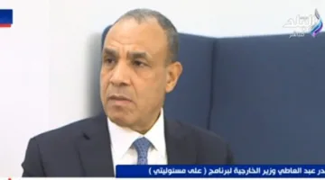 وزير الخارجية: مصر تتبنى مبدأ التوازن الاستراتيجي في سياستها الخارجية.
