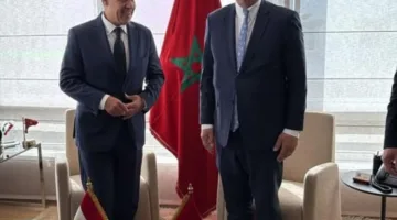 وزير الخارجية: نسعى لتعزيز التعاون الاقتصادي والتجاري والصناعي مع المغرب