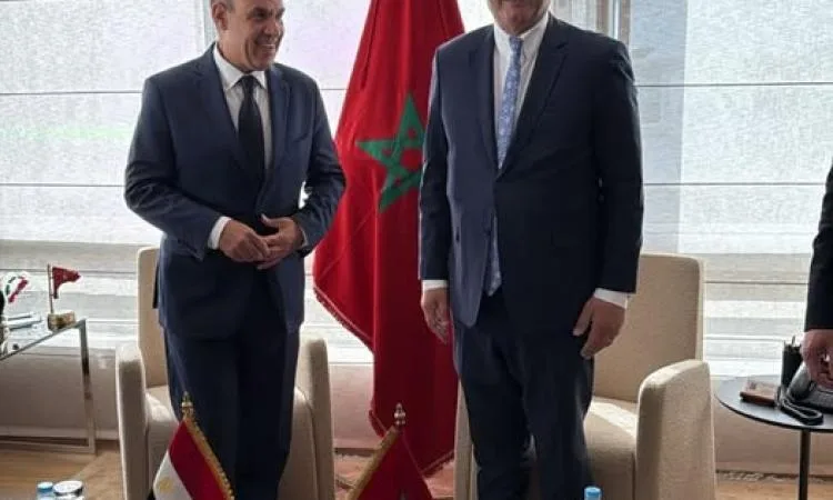 وزير الخارجية: نسعى لتعزيز التعاون الاقتصادي والتجاري والصناعي مع المغرب وزير الخارجية: نسعى لتعزيز التعاون الاقتصادي والتجاري والصناعي مع المغرب