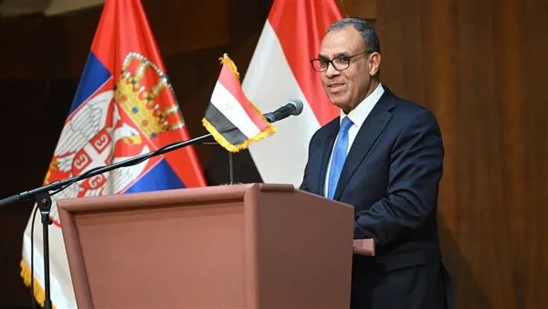 وزير الخارجية والهجرة: المصريون بالخارج جزء لا يتجزأ من قوة مصر الشاملة
