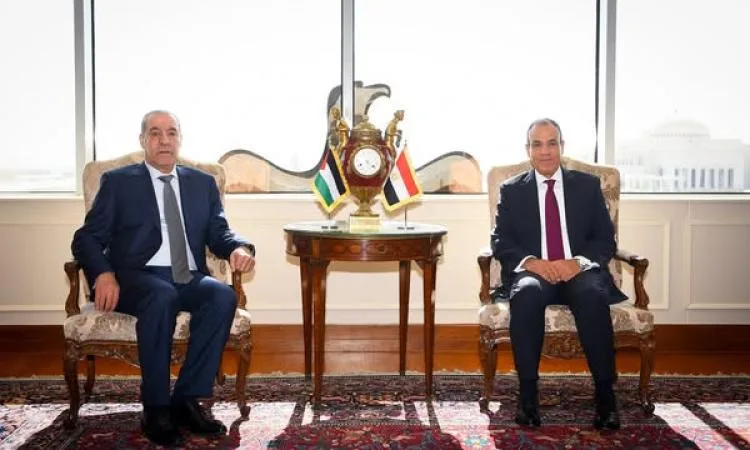 وزير الخارجية يؤكد استمرار مصر في جهود الوساطة لوقف إطلاق النار في غزة