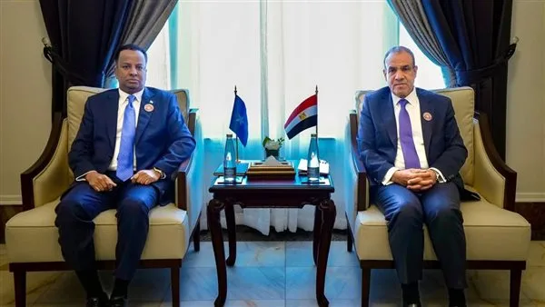 وزير الخارجية يبرز لنظيره الصومالي دعم مصر التام لوحدة وسيادة الصومال
