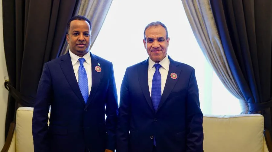 وزير الخارجية يجتمع بنظيره من الصومال وزير الخارجية يجتمع بنظيره من الصومال