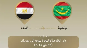 وزير الخارجية يسافر إلى موريتانيا في إطار زيارة ثنائية