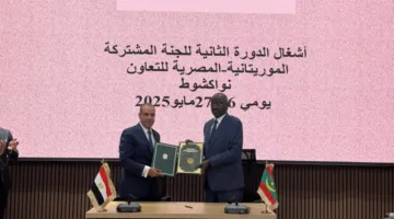وزير الخارجية يقود الوفد المصري في اجتماعات اللجنة المصرية الموريتانية