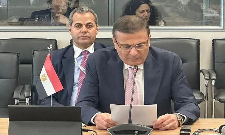 وزير الزراعة: مصر اعتمدت خطة متكاملة لحماية الصحة الزراعية وزير الزراعة: مصر اعتمدت خطة متكاملة لحماية الصحة الزراعية