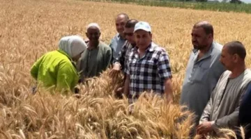 وزير الزراعة يستعرض جهود قطاع استصلاح الأراضي خلال ابريل 2025