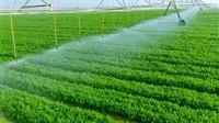 وزير الزراعة يشرح وظيفة جهاز مستقبل مصر خلال جولة في الأراضي الزراعية