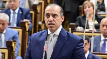 وزير الشؤون البرلمانية: الرقابة القضائية على الانتخابات مستمرة