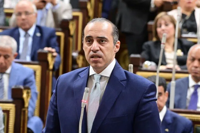 وزير الشؤون البرلمانية: الرقابة القضائية على الانتخابات مستمرة وزير الشؤون البرلمانية: الرقابة القضائية على الانتخابات مستمرة
