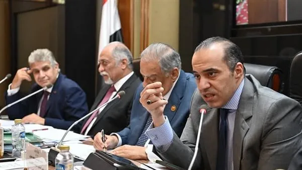 وزير الشؤون النيابية: تقسيم “الدوائر الانتخابية” يسعى لتحقيق التوازن وزير الشؤون النيابية: تقسيم “الدوائر الانتخابية” يسعى لتحقيق التوازن