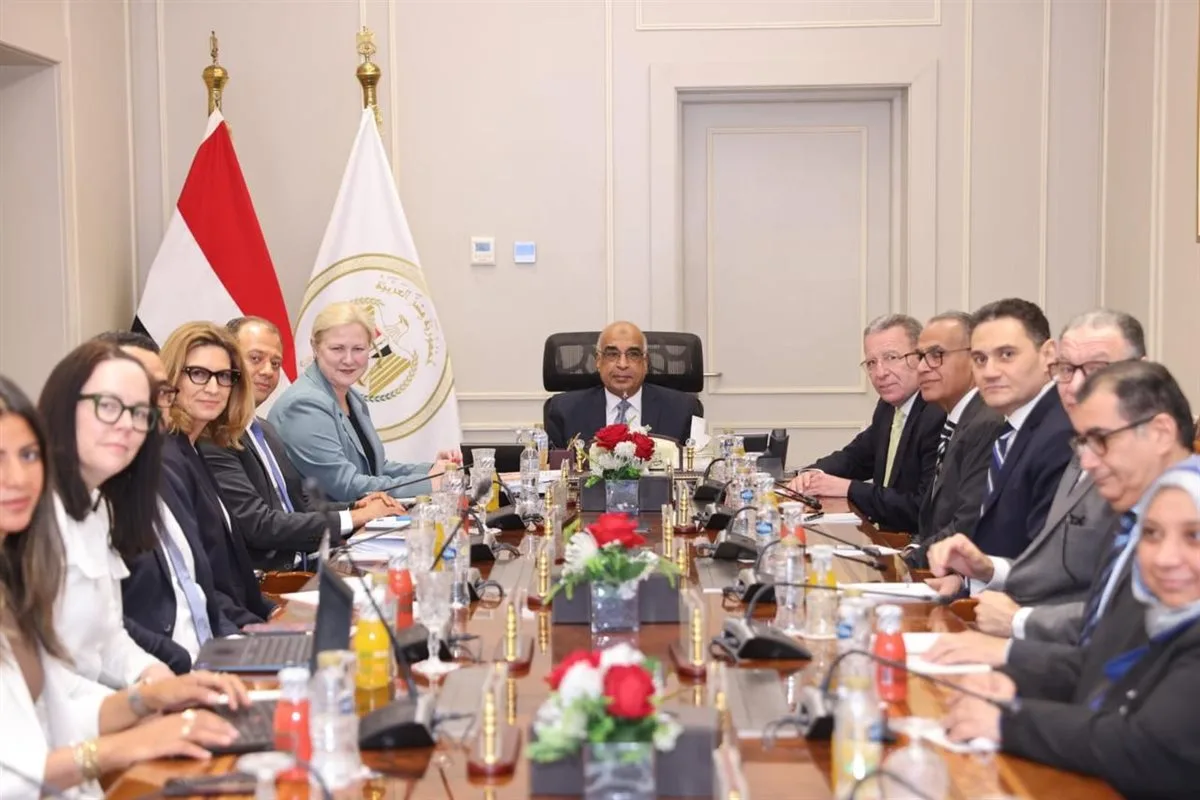 وزير العدل يناقش مع منظمة التعاون الاقتصادي تعزيز التعاون في مجالات الحوكمة والعدالة