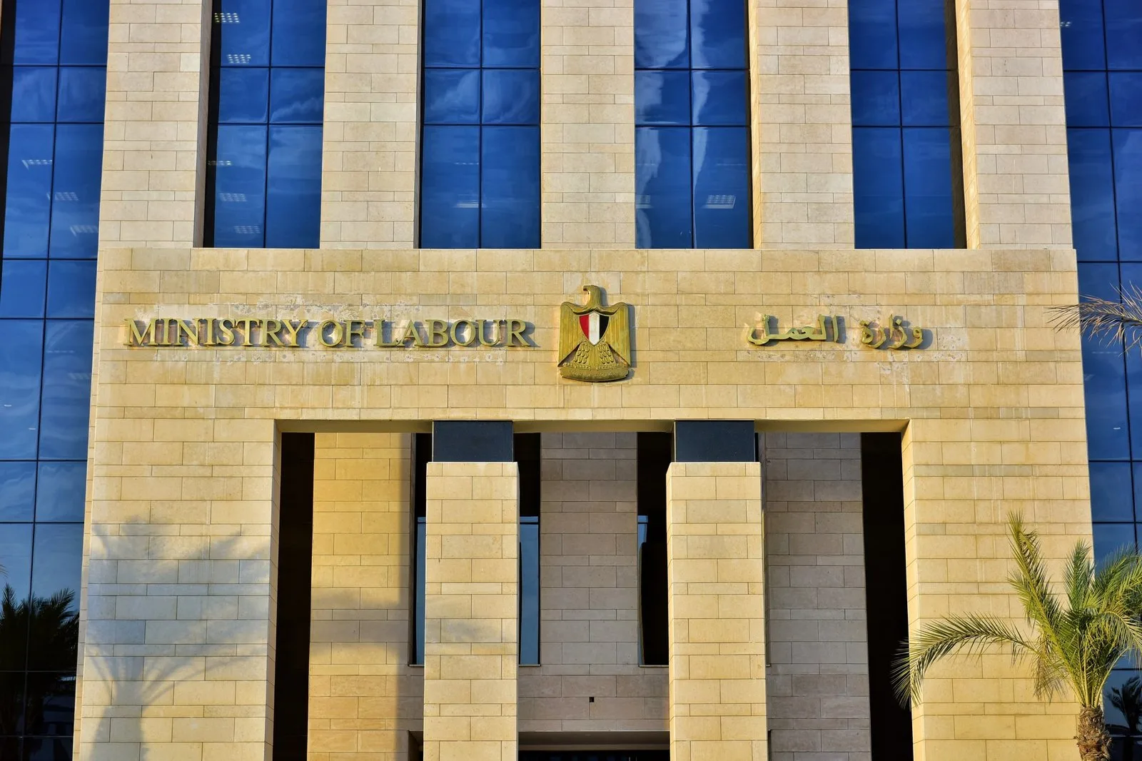 وزارة العمل: إدارة عمل الوادي الجديد تقوم بتنفيذ حملات تفتيش على عمالة الأطفال وزارة العمل: إدارة عمل الوادي الجديد تقوم بتنفيذ حملات تفتيش على عمالة الأطفال