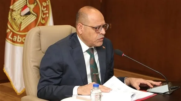 وزير العمل: صرف 319.68 مليون جنيه على دعم نظام التدريب المهني منذ انطلاقه حتى الآن