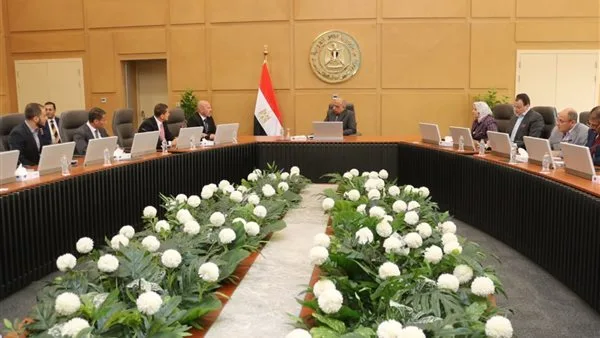 وزير الكهرباء يبحث مع مجموعة “إنكوم” التعاون في مجالات الطاقة المتجددة