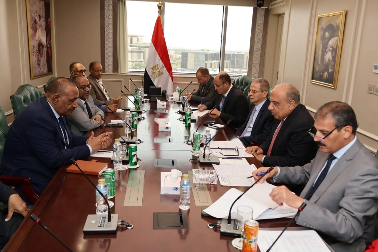 وزير الكهرباء يتباحث مع نظيره السوداني حول تطوير شبكة الكهرباء في السودان وزير الكهرباء يتباحث مع نظيره السوداني حول تطوير شبكة الكهرباء في السودان
