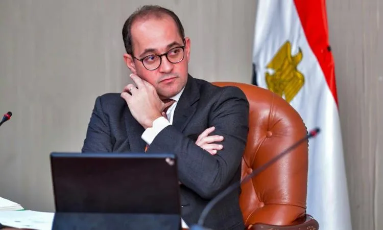 وزير المالية: نتطلع لشراكات استثمارية بين القطاع الخاص المصري و الفرنسي
