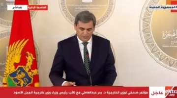وزير خارجية الجبل الأسود: دور مصر في الاتحاد الافريقي وجامعة الدول يوفر منطقة آمنة