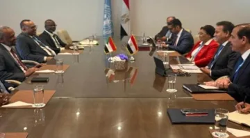 وزيرا الصحة في مصر والسودان يستعرضان مجالات التعاون المشترك