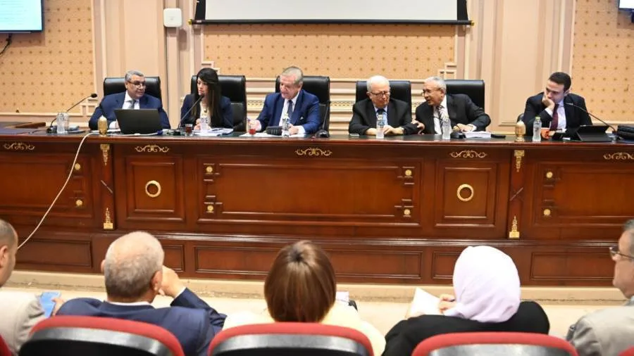 وزيرة التخطيط: الاستثمارات تمثل 17% من الناتج المحلي الإجمالي