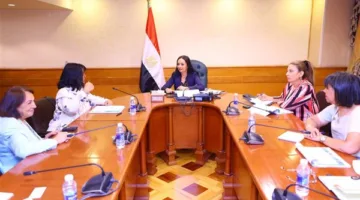 وزيرة التضامن تناقش تعزيز التعاون بين صندوق دعم الصناعات الريفية ومؤسسة دلتا لريادة الأعمال المجتمعية