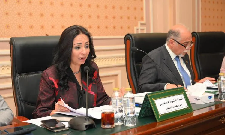 وزيرة التضامن: ما تنفذه الدولة في ملف الحماية الاجتماعية من أنجح البرامج