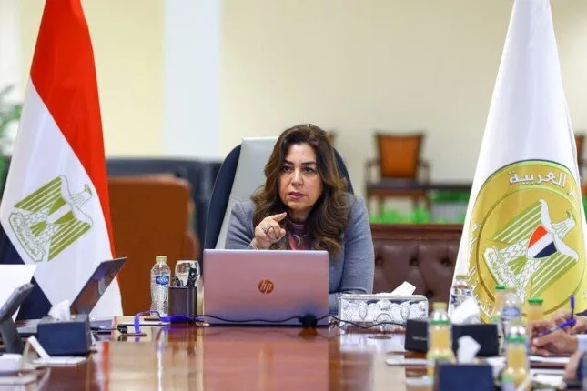 وزيرة التنمية المحلية تستعرض تقريرا لجهود وحدة السكان المركزية خلال أبريل