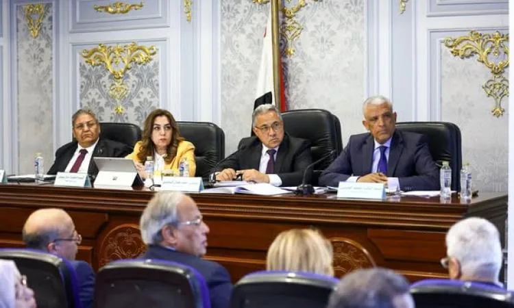وزيرة التنمية المحلية في مجلس النواب: نركز بشكل كبير على تعزيز الاستثمار