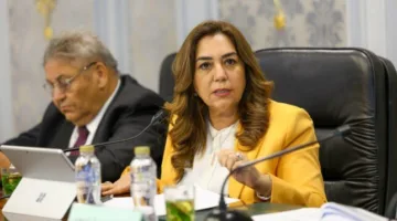 وزيرة التنمية: نولي اهتماماً كبيراً لتشجيع الاستثمار ودعم دور القطاع الخاص
