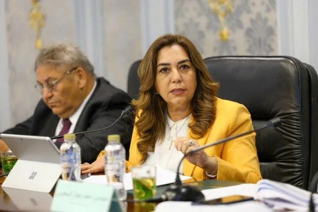 وزيرة التنمية: نولي اهتماماً كبيراً لتشجيع الاستثمار ودعم دور القطاع الخاص وزيرة التنمية: نولي اهتماماً كبيراً لتشجيع الاستثمار ودعم دور القطاع الخاص