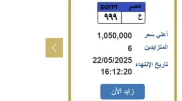 «وصل سعرها إلى أكثر من مليون جنيه».. الإقبال يتزايد على لوحة سيارة فريدة.