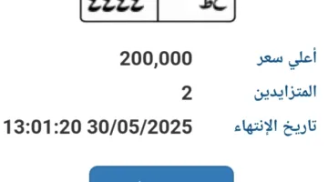 وصلت إلى 200 ألف جنيه… عرض مزاد على لوحة سيارة فريدة (ع ط- 4444)
