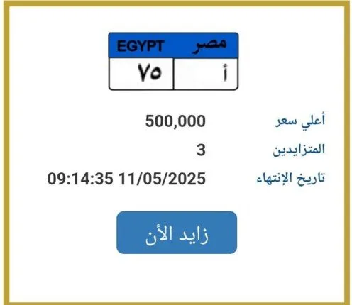 وصلت لـ 500 ألف جنيه.. "المرور" تطرح التزايد على لوحة سيارة مميزة