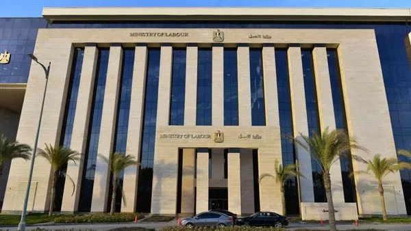 وظائف متاحة في الأردن لمربي الطيور: تفاصيل التقديم وظائف متاحة في الأردن لمربي الطيور: تفاصيل التقديم