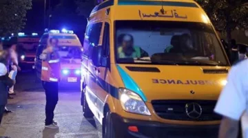 وفاة 4 أفراد وإصابة آخر في حادث تصادم بين سيارتين نقل على طريق إدفو مرسى علم