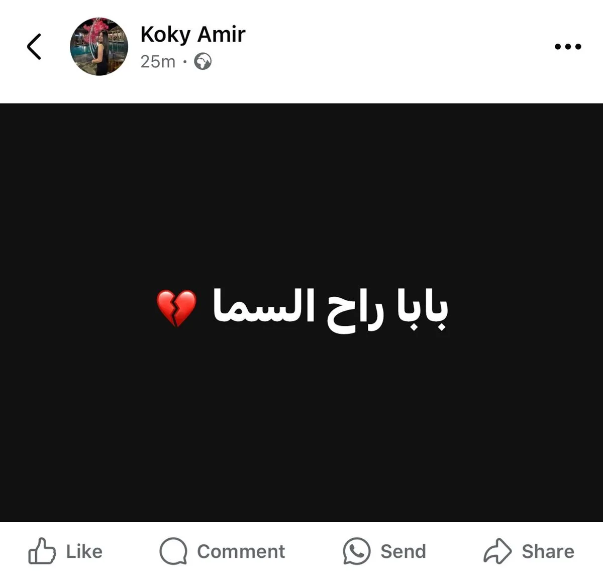 وفاة المصور أمير رشدي بعد صراع مع السرطان