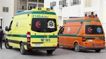 وفاة شخص وإصابة ثلاثة آخرين جراء تصادم بين سيارة خاصة وتروسيكل في الدقهلية
