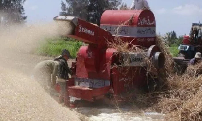 وفاة مزارع داخل أرضه بالسنطة بعد أن سحبته ماكينة الدراس
