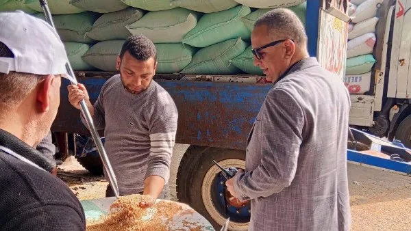 وكيل تموين الدقهلية: الشون والصوامع تسلمت 97 ألف طن قمح