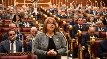 وكيل مجلس الشيوخ: تعديل قانون الانتخابات يساعد في تعزيز الوعي العام والانتماء الوطني